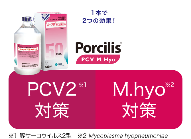 PCV2対策 M.hyo対策