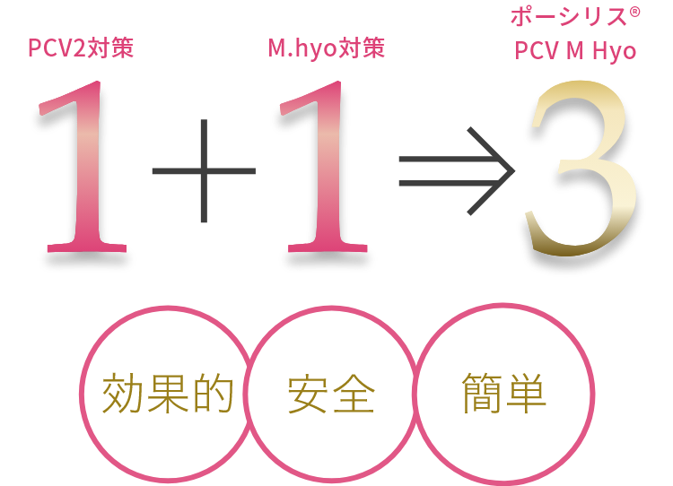 効果的　安全　簡単
